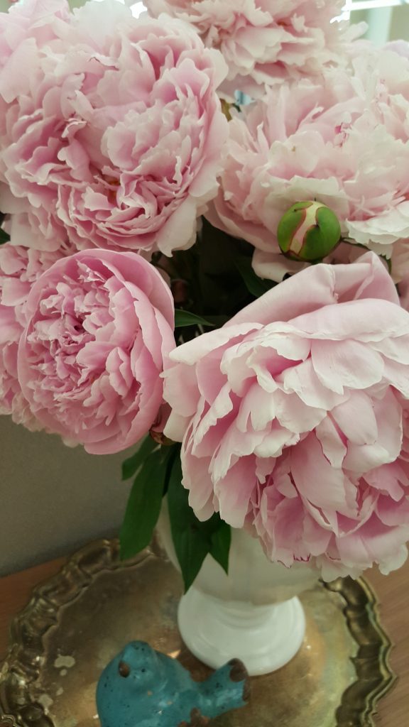 peonies in vase by Juliet from A Loverly Life