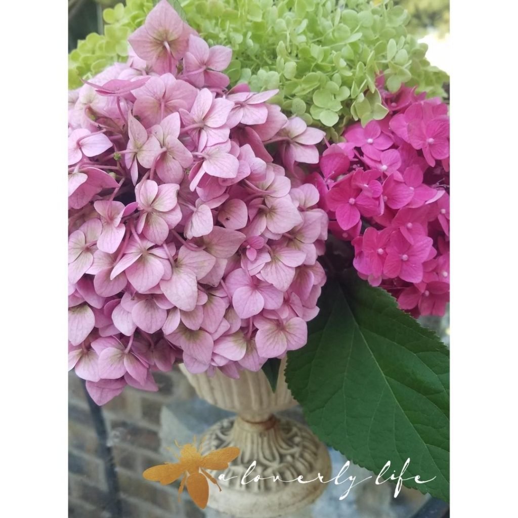 cut hydrangea floral arrangement