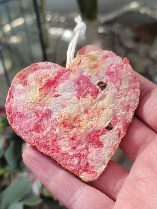 Valentine seed paper DIY