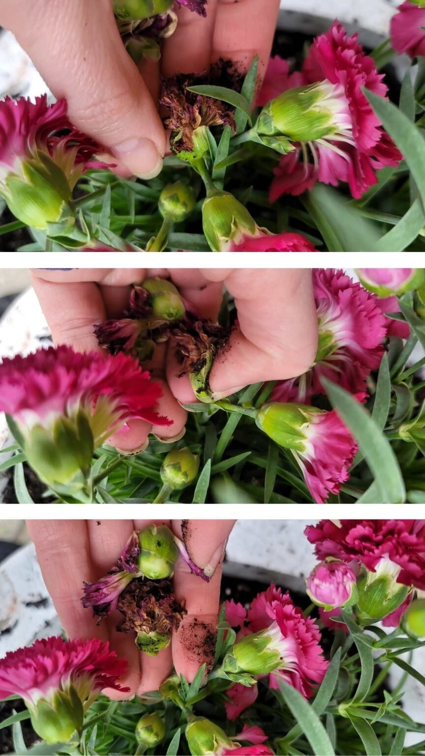 Simple Summer Front Porch Decor A loverly life