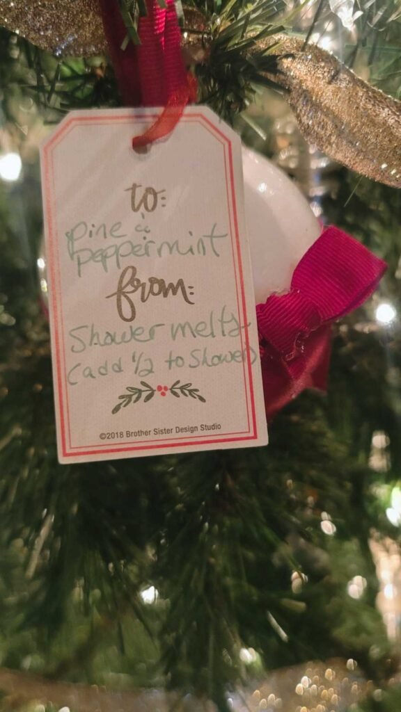 peppermint and pine shower steamer DIY ornament